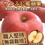 富士蜜蘋果