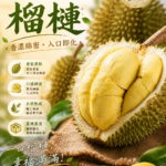 越南進口-干堯榴槤